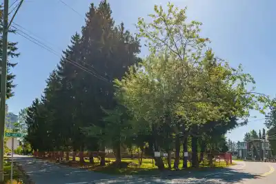 13003 OLD YALE ROAD, Surrey BC V3T 3C3