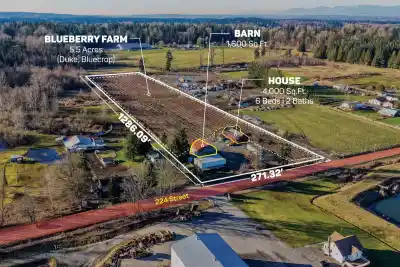 2157 224 STREET, Langley BC V2Z 2Z2