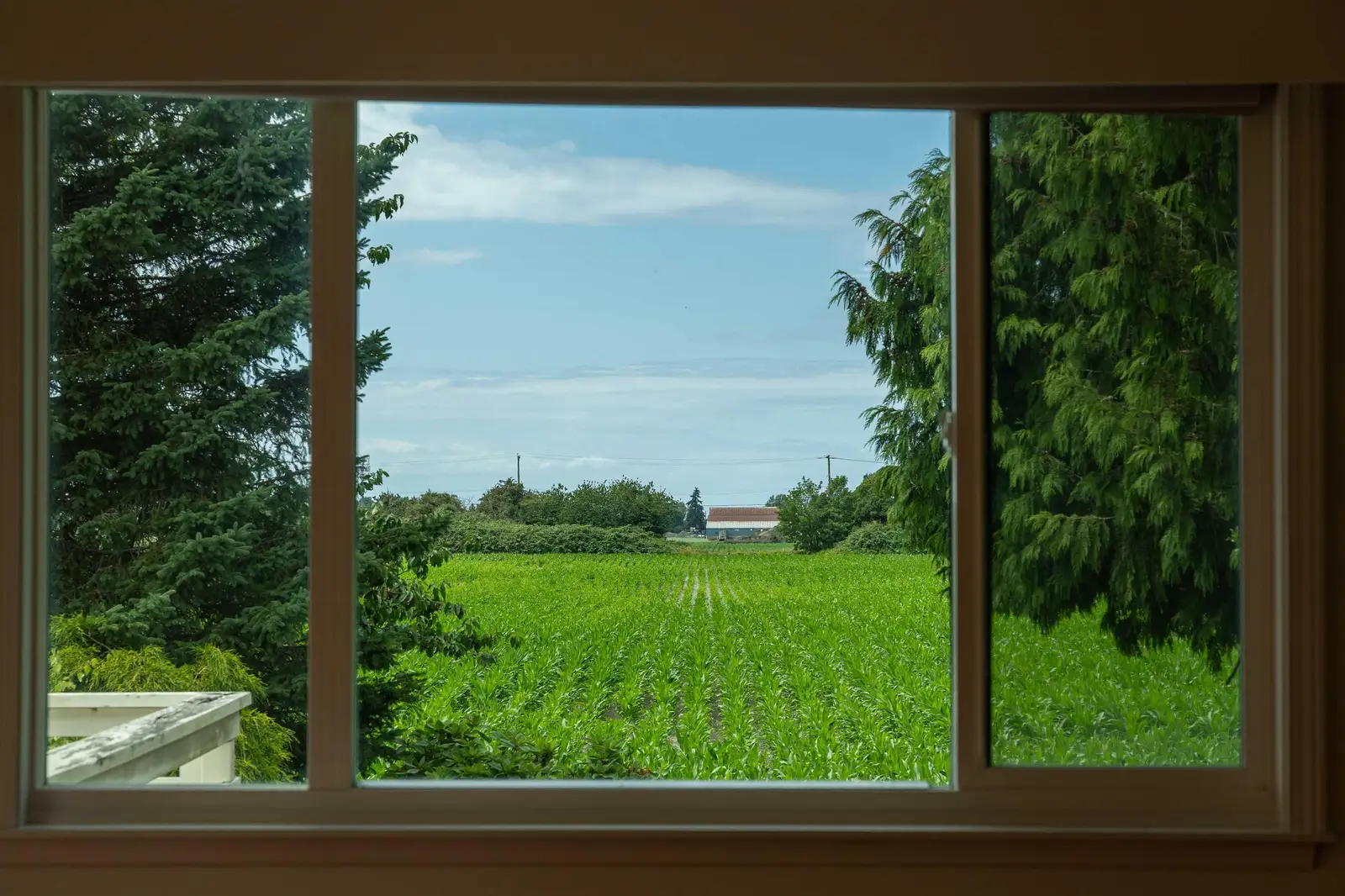 4351 48A STREET, Delta BC V4K 2P8